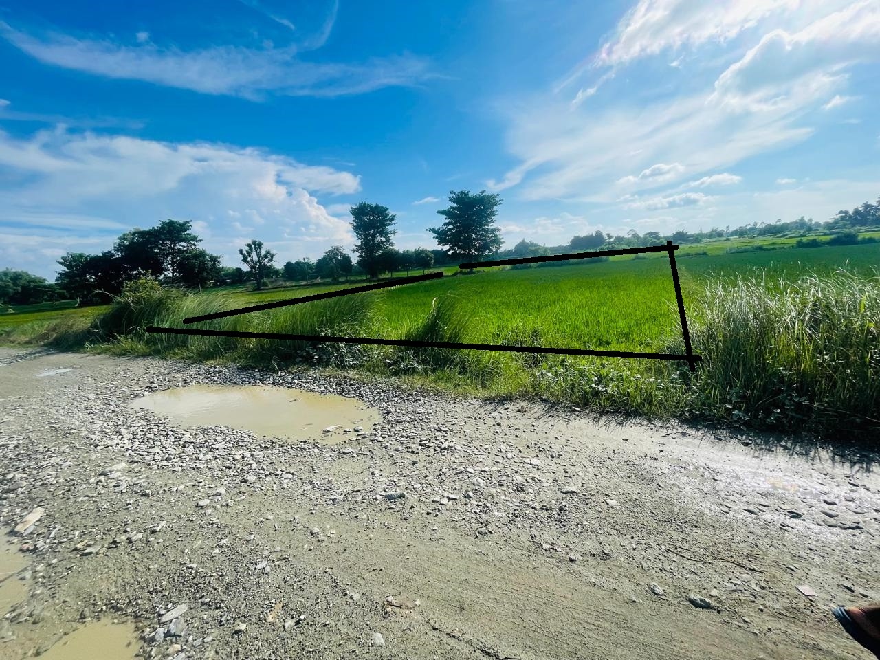 Kaseni 5KA, Morang